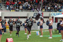 cal_wb1