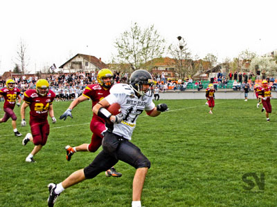 IMG_2240-1