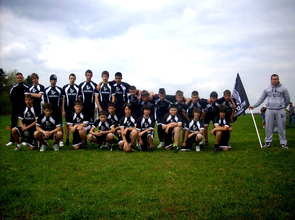 flag_1a_2011