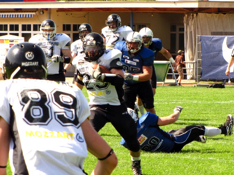 veprovi_hohenems_5