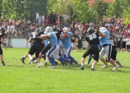 wb_bd_2009