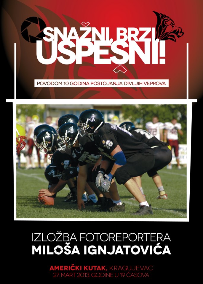 izlozba_2013