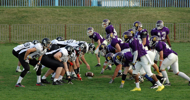 wild boars royal crowns kraljevo (2)